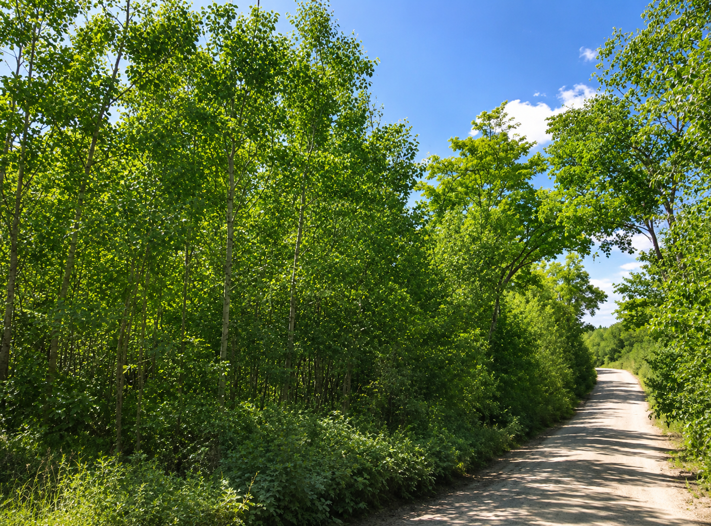 7131666