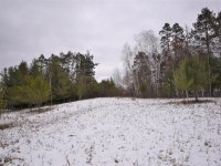 Land 6128506
