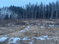 Land 6132020