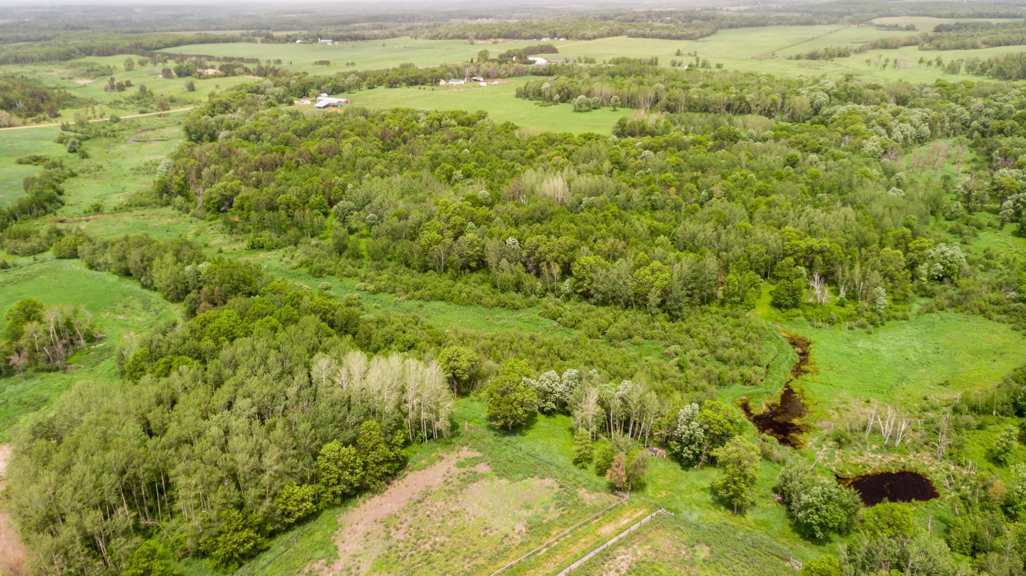 Land 6223681