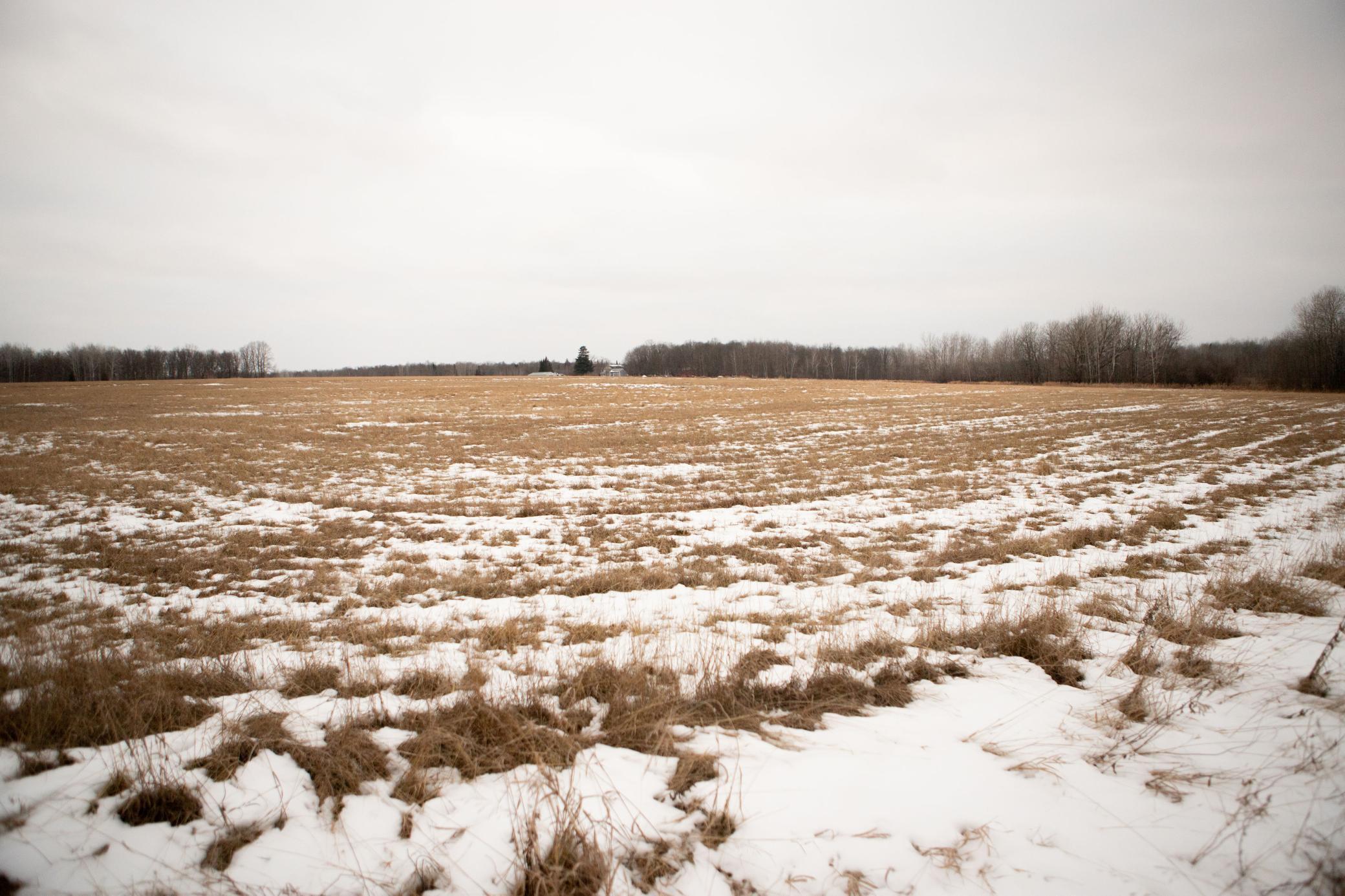 Land 6314570