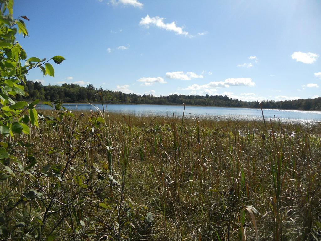 Lakelot 6722672
