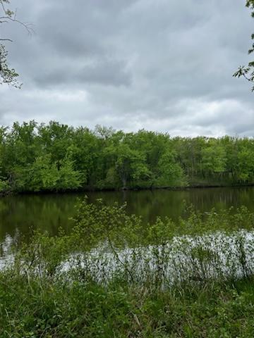 Lakelot 6733268