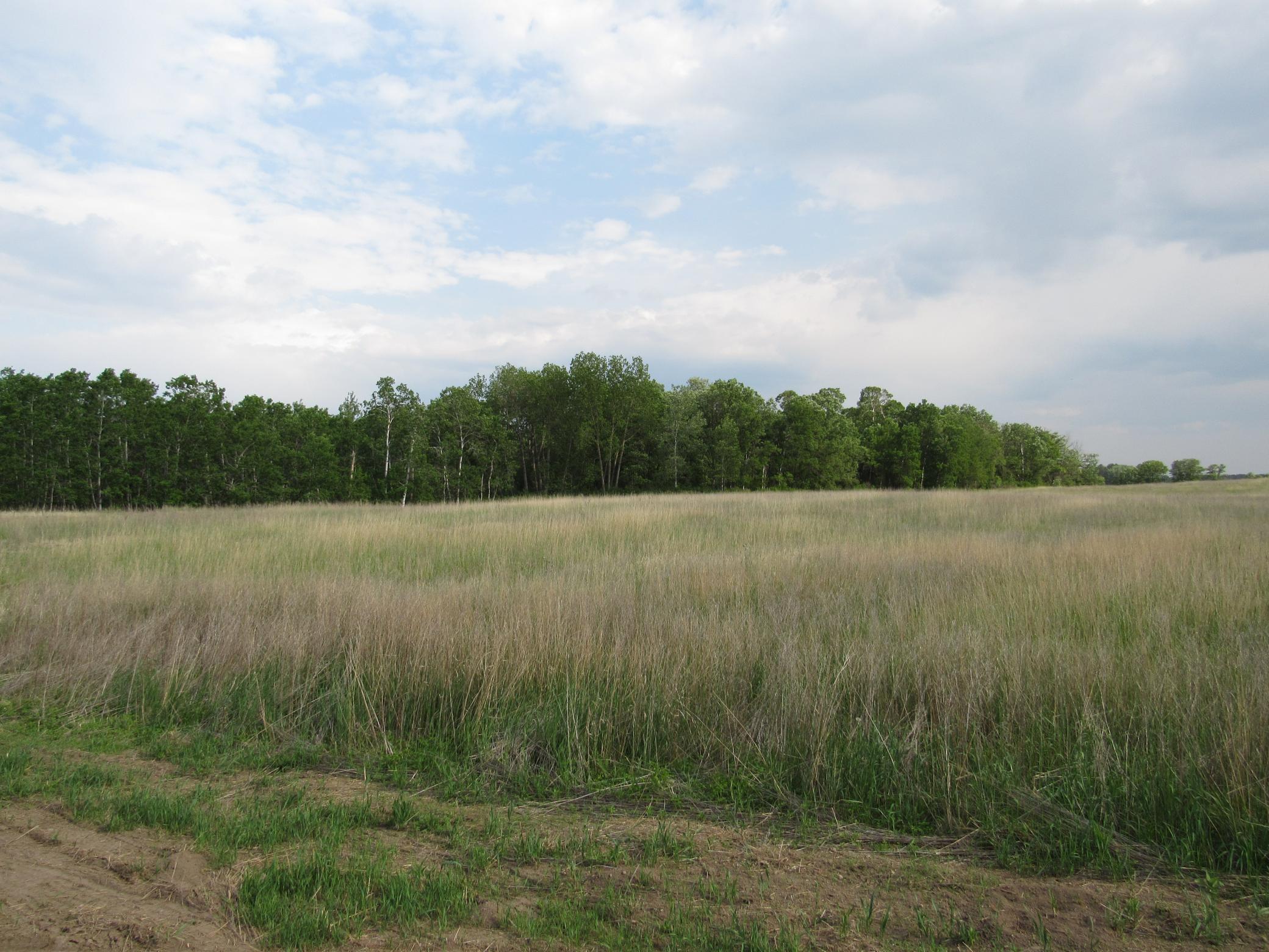 Land 6734109