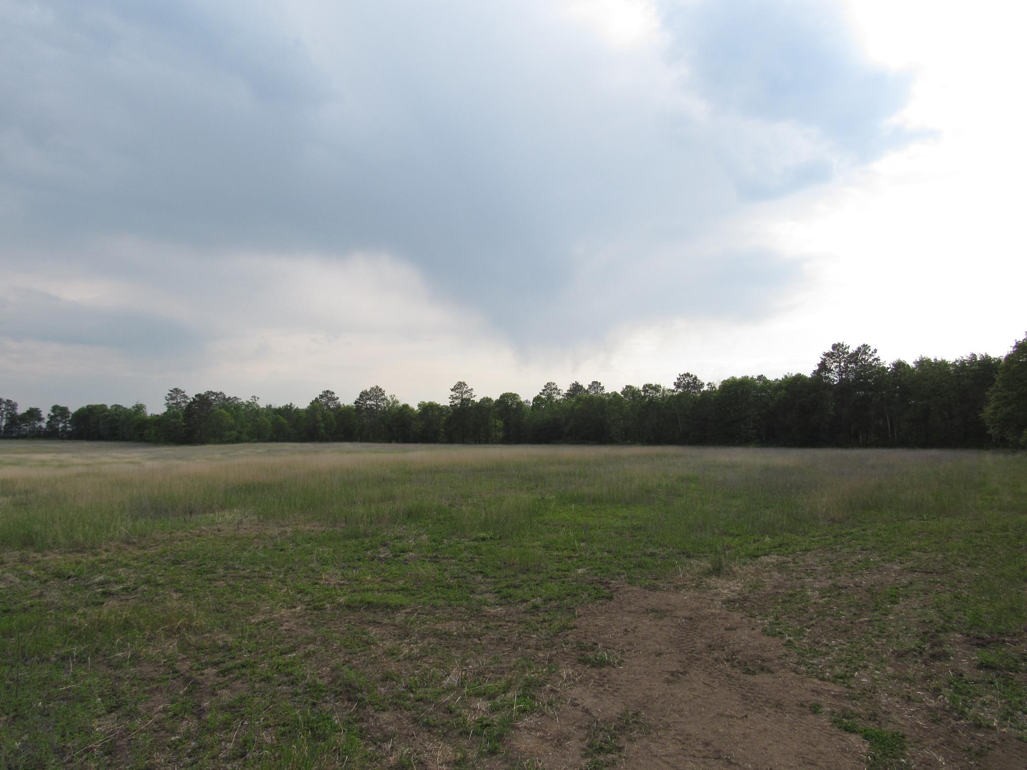 Land 6734128