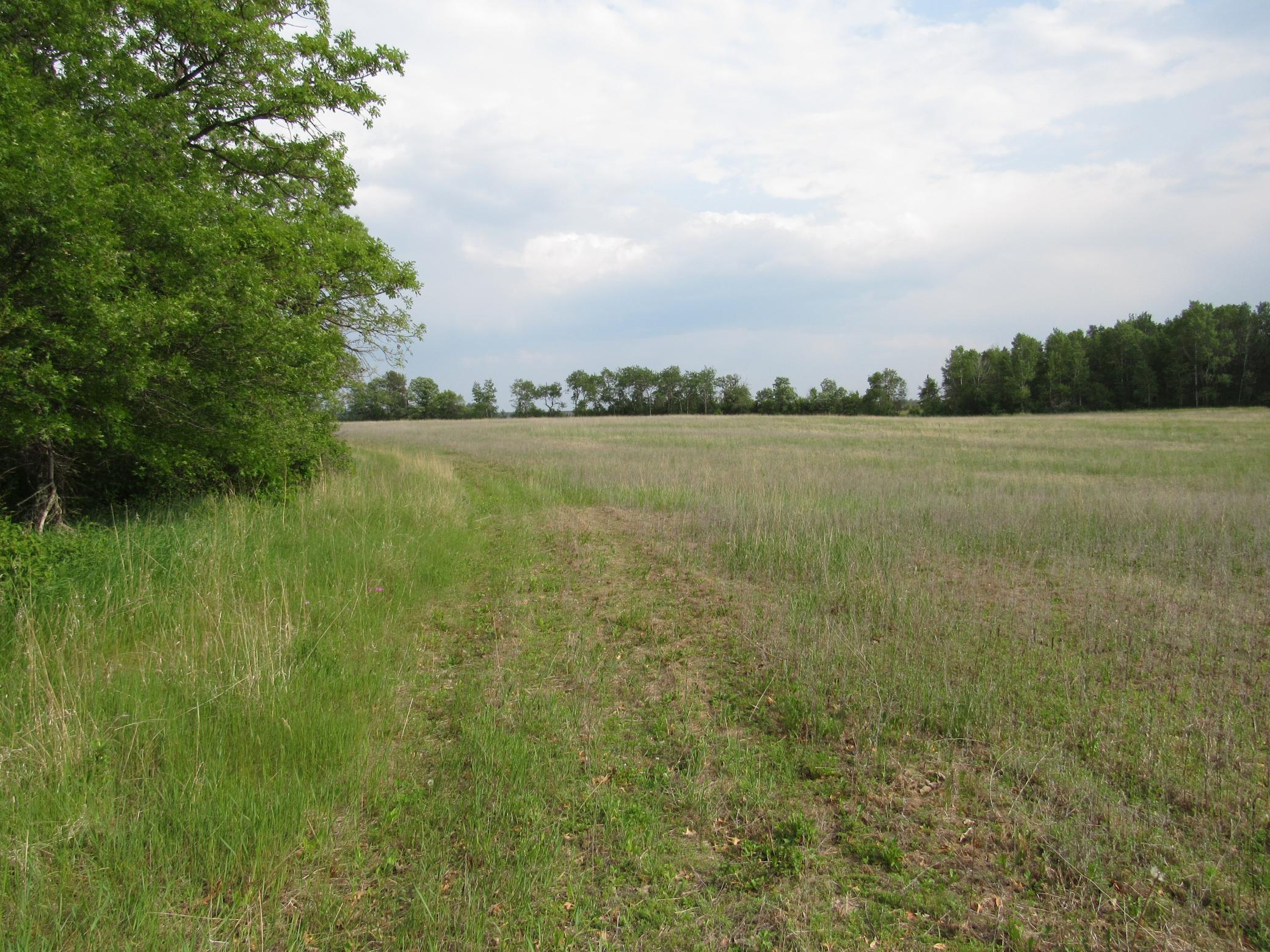 Land 6734146