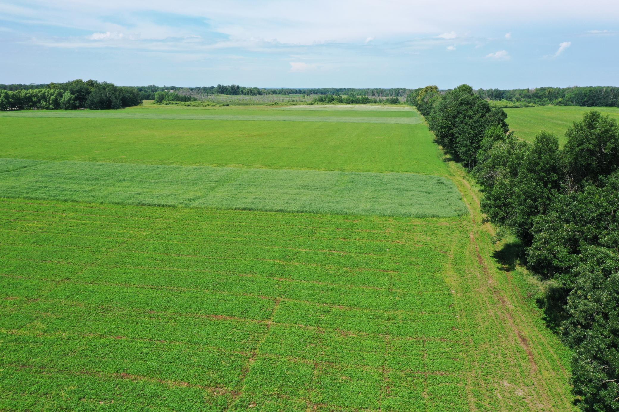 Land 6750994