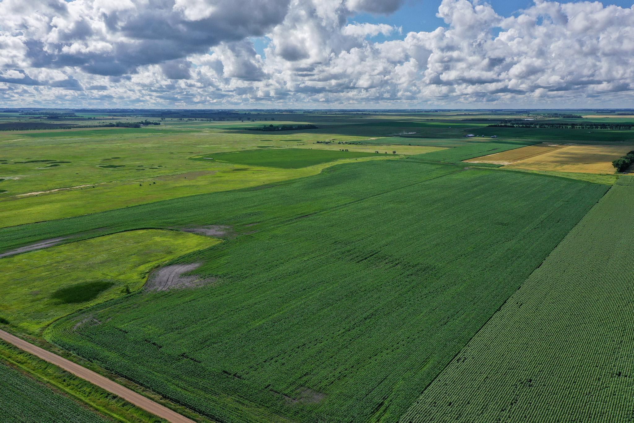 Land 6761083