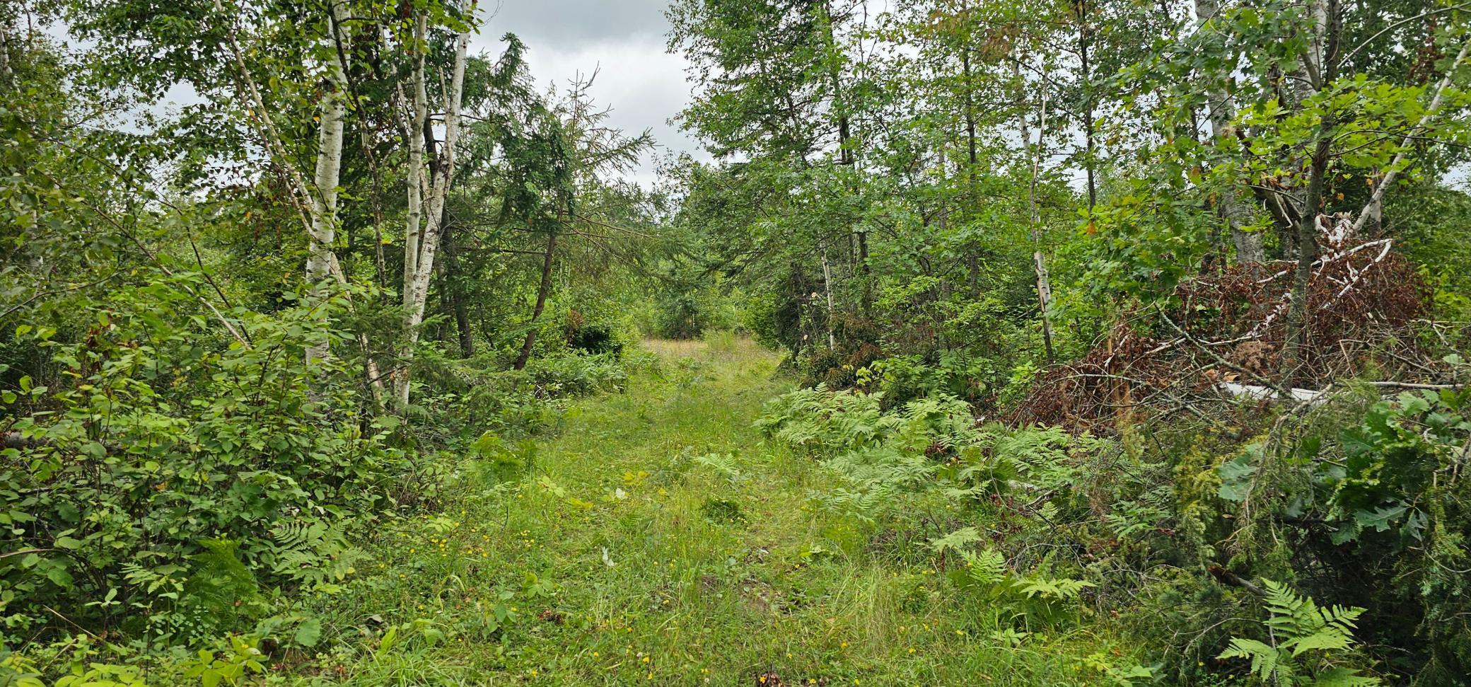 Land 6772140