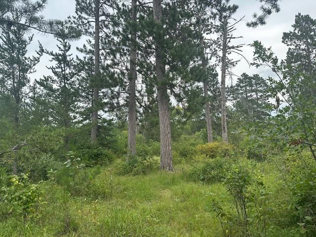 Land 6773460