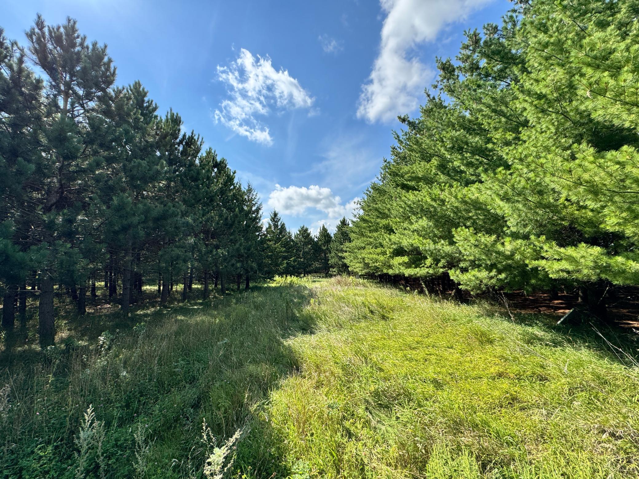 Land 6780781