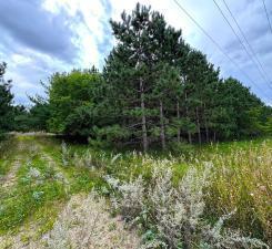 Land 6780801