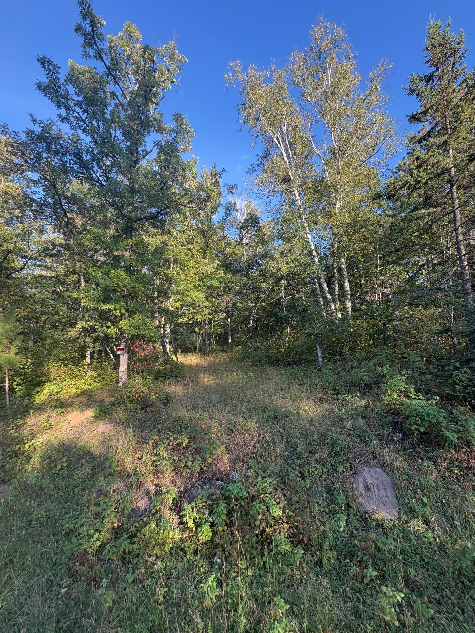 Land 6790290