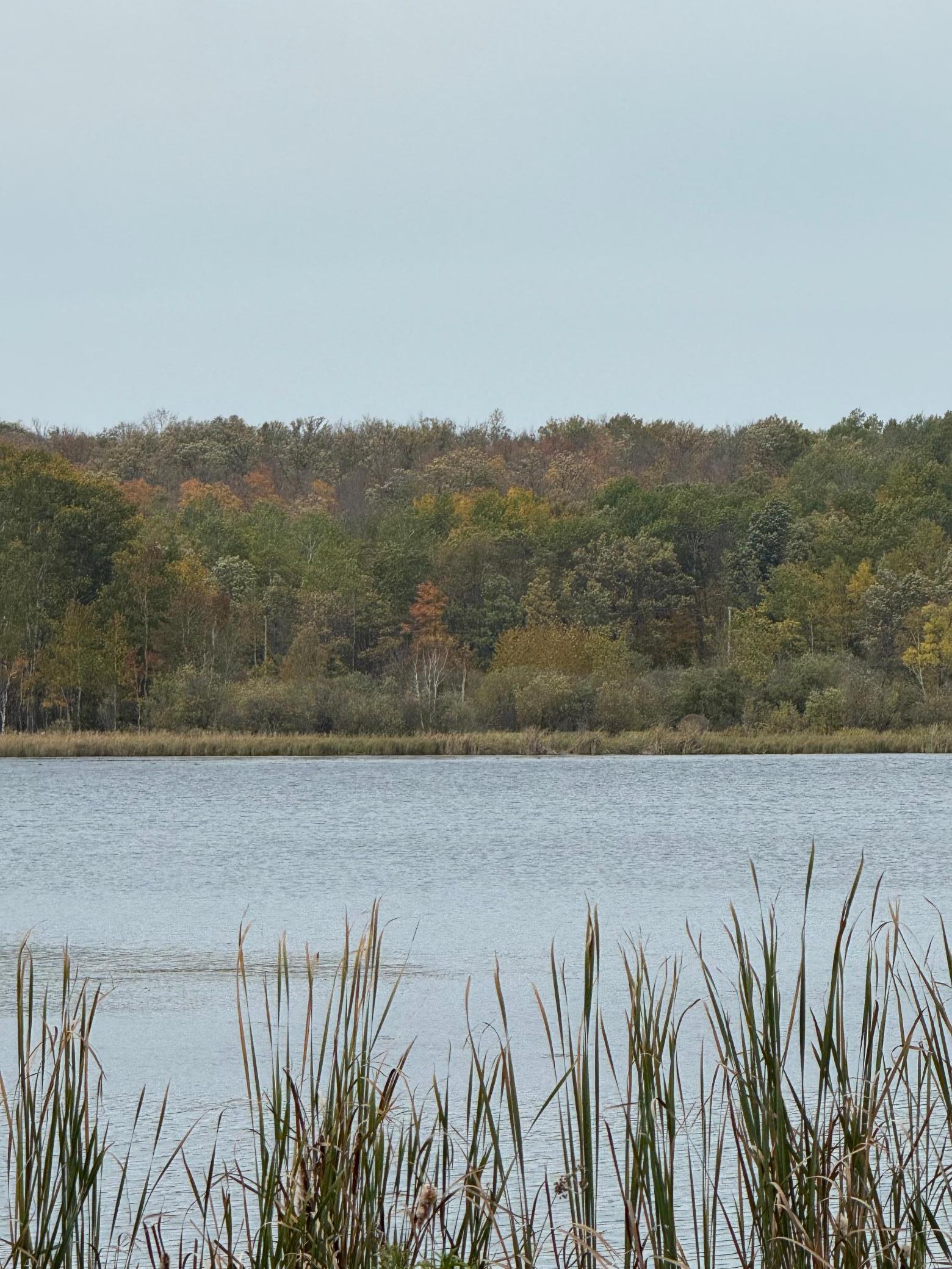 Lakelot 6797862