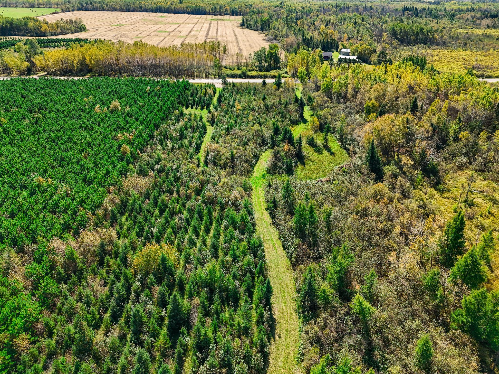 Land 6798063