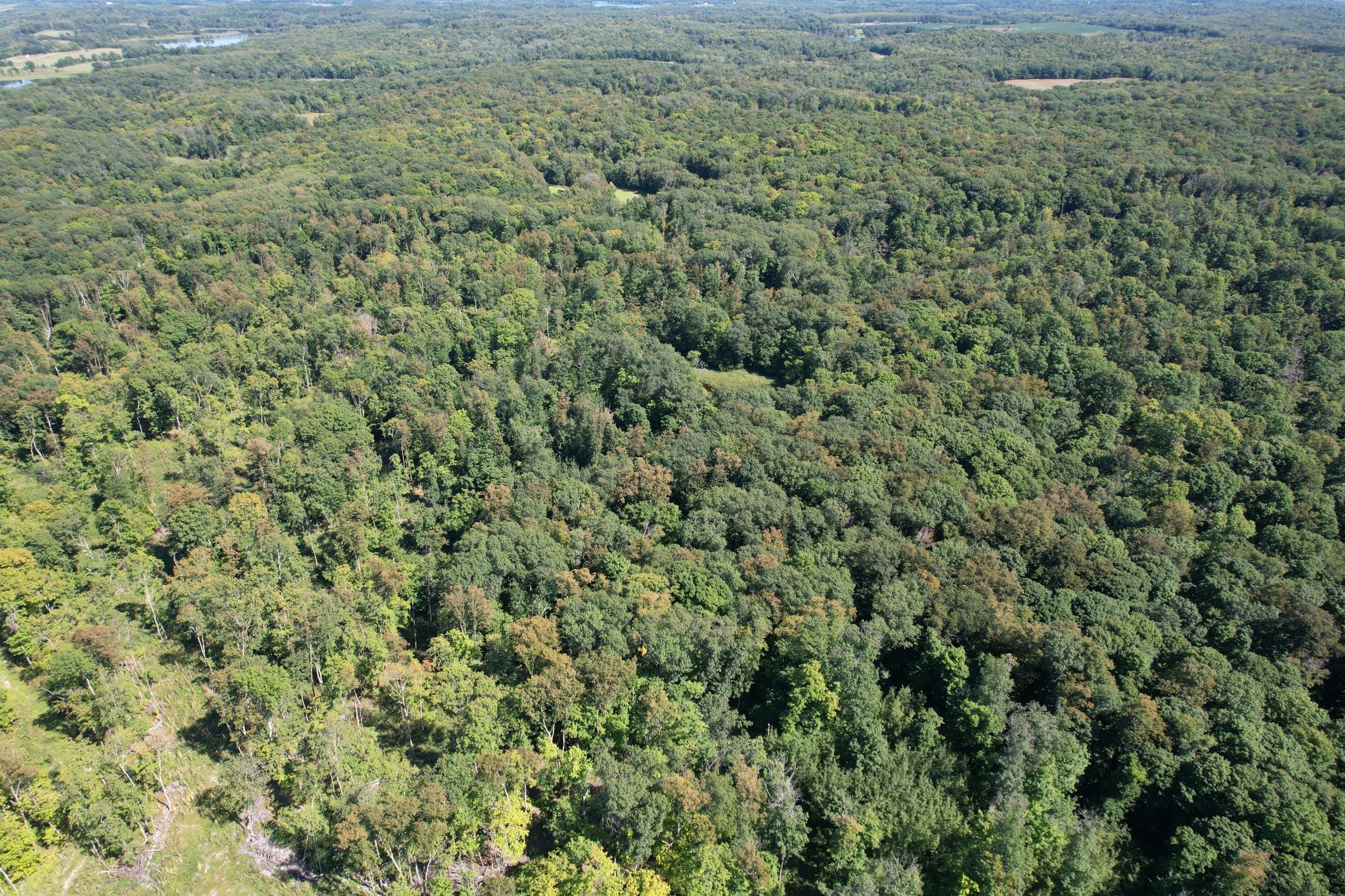 Land 6805740