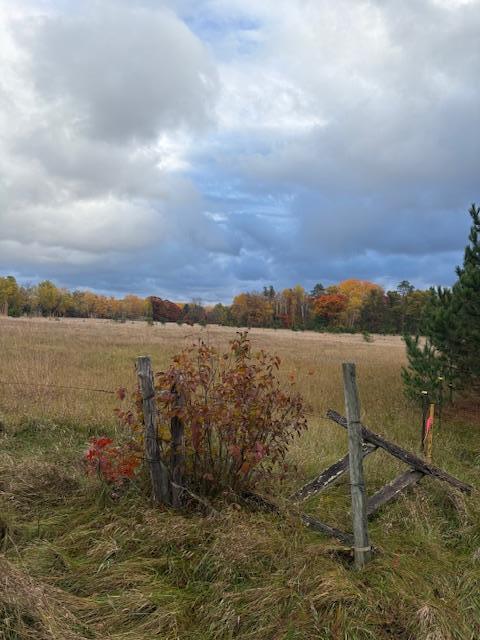 Land 6805763