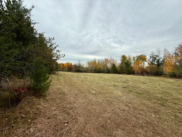 Land 6806555