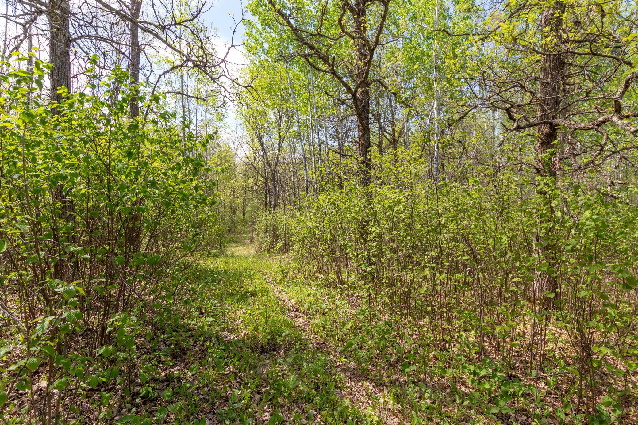 Land 7080127