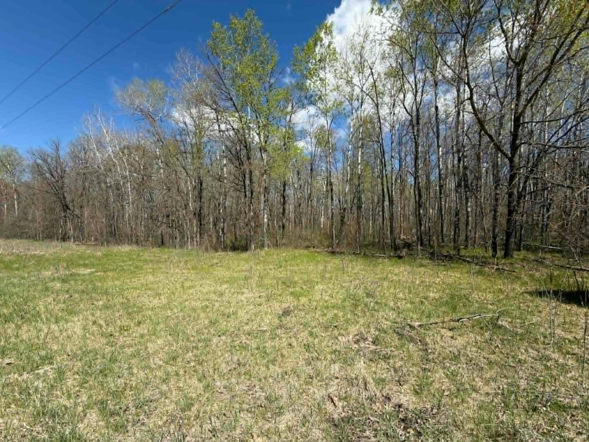Land 7081839