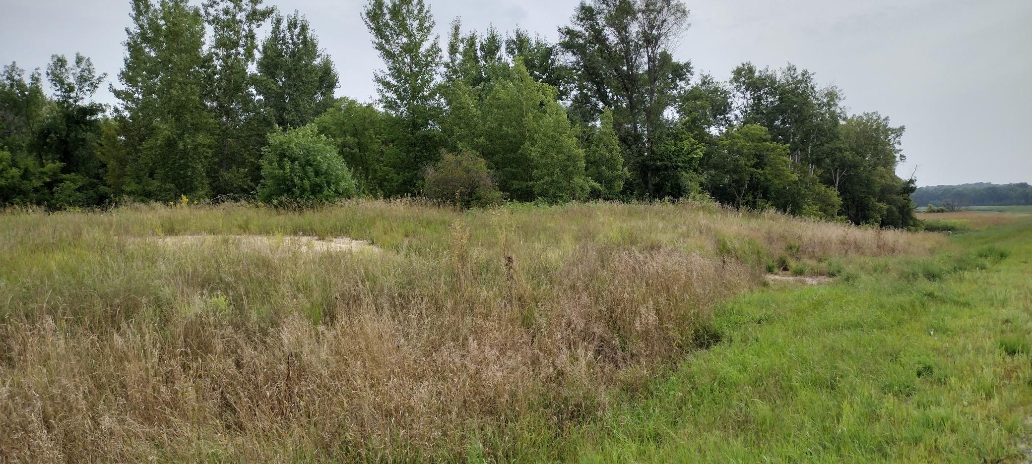 Land 7082742