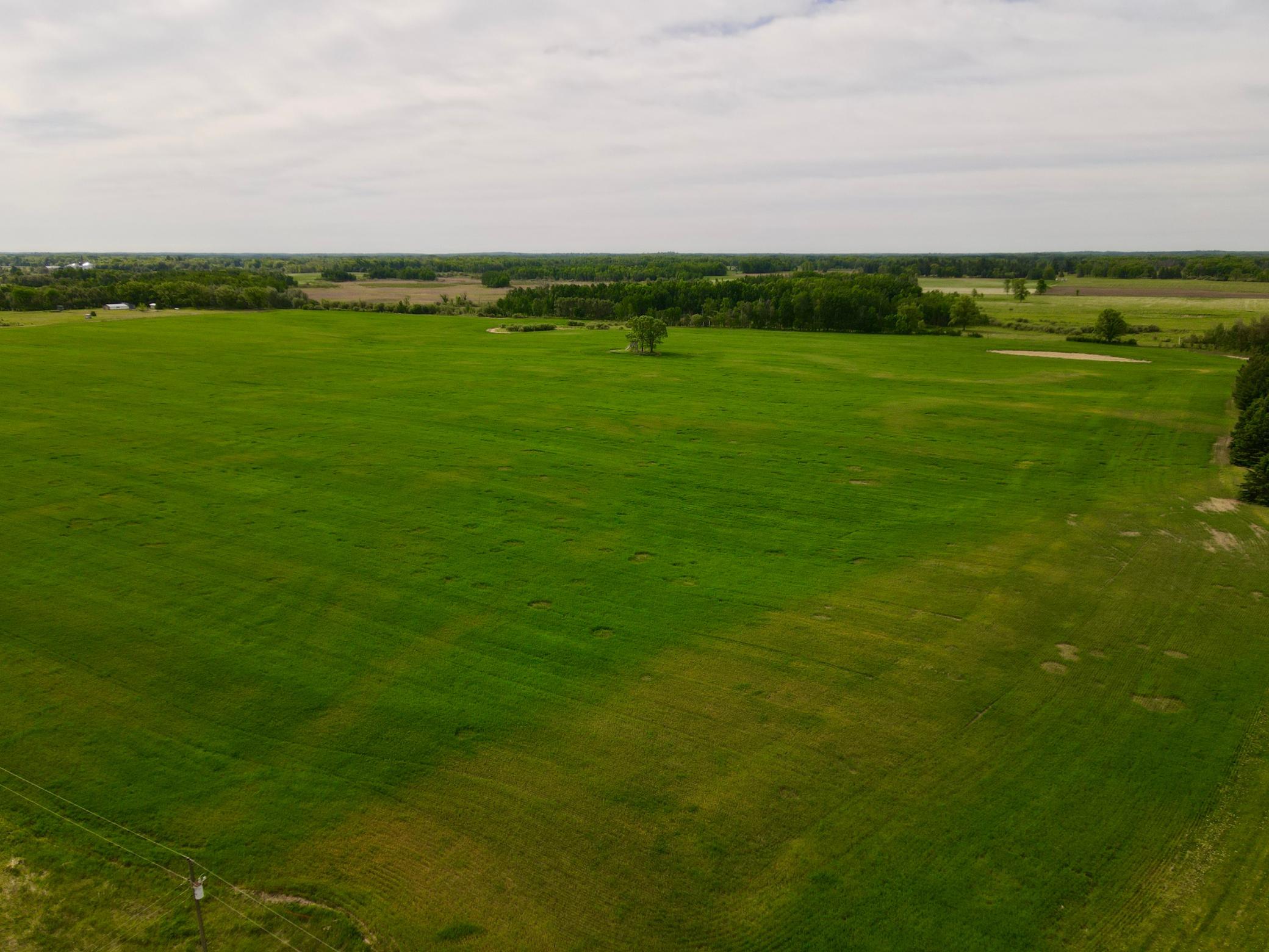 Land 7084694