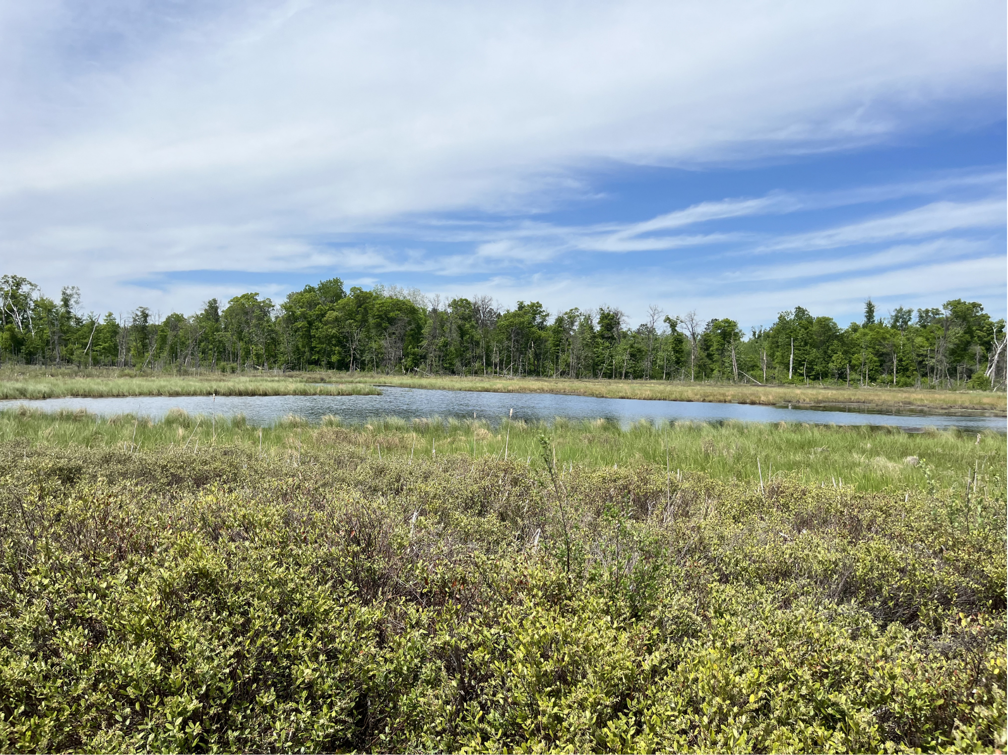 Lakelot 7085108