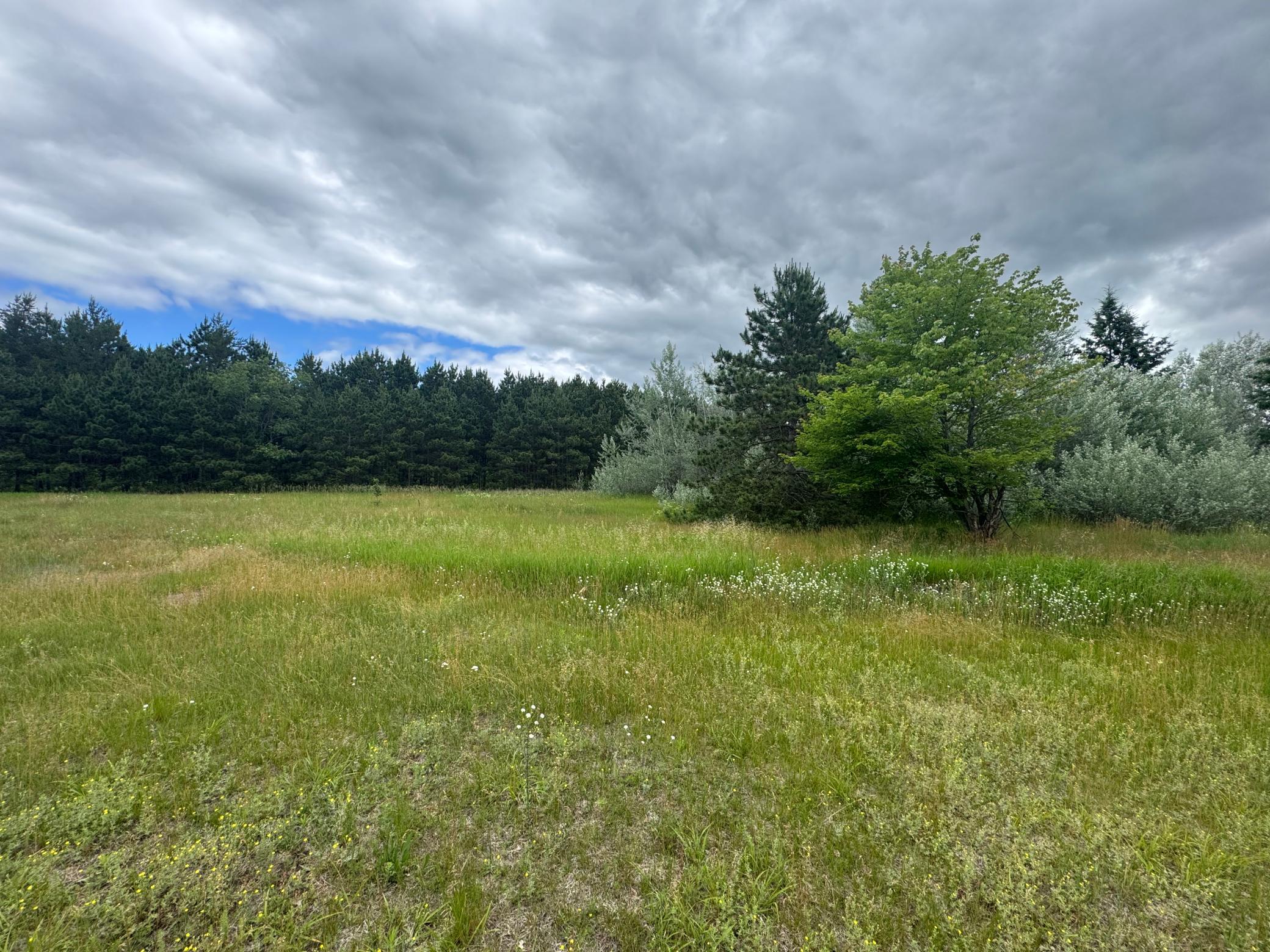 Land 7098450