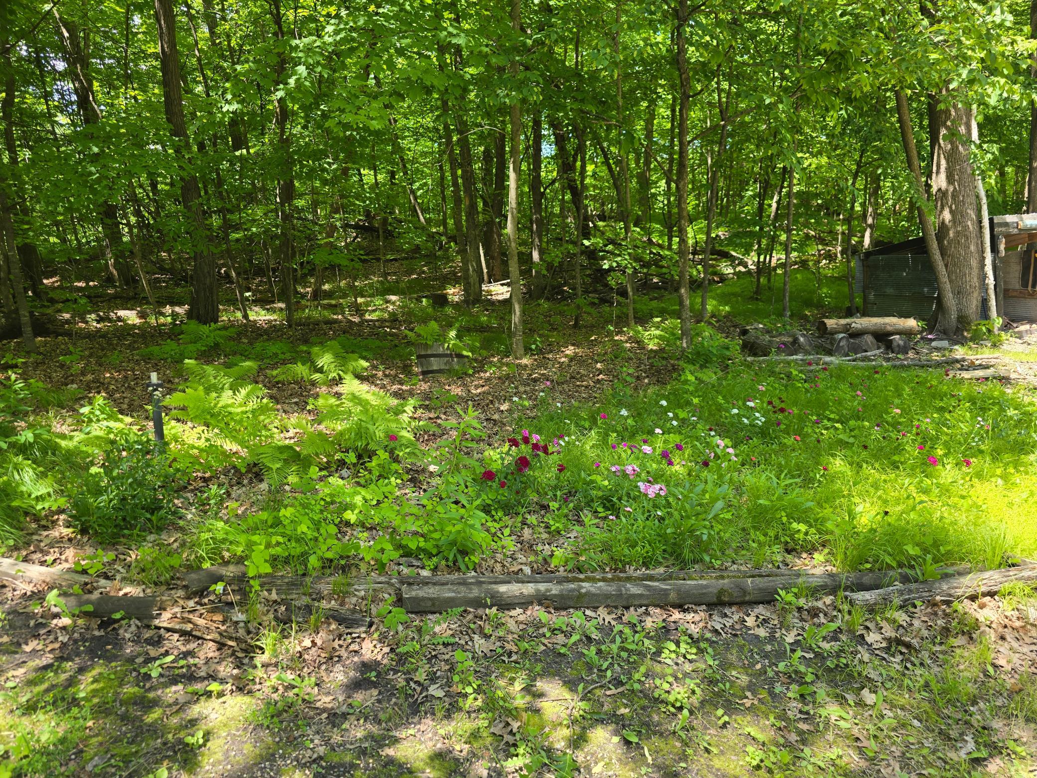Land 7098986