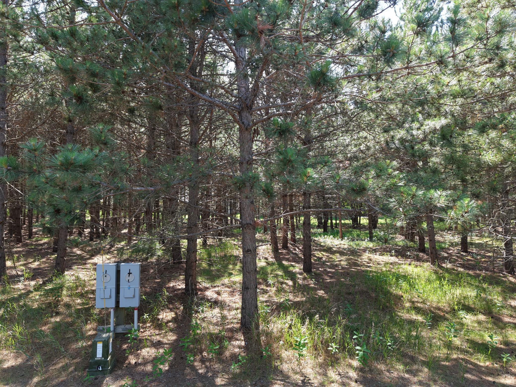 Land 7104582