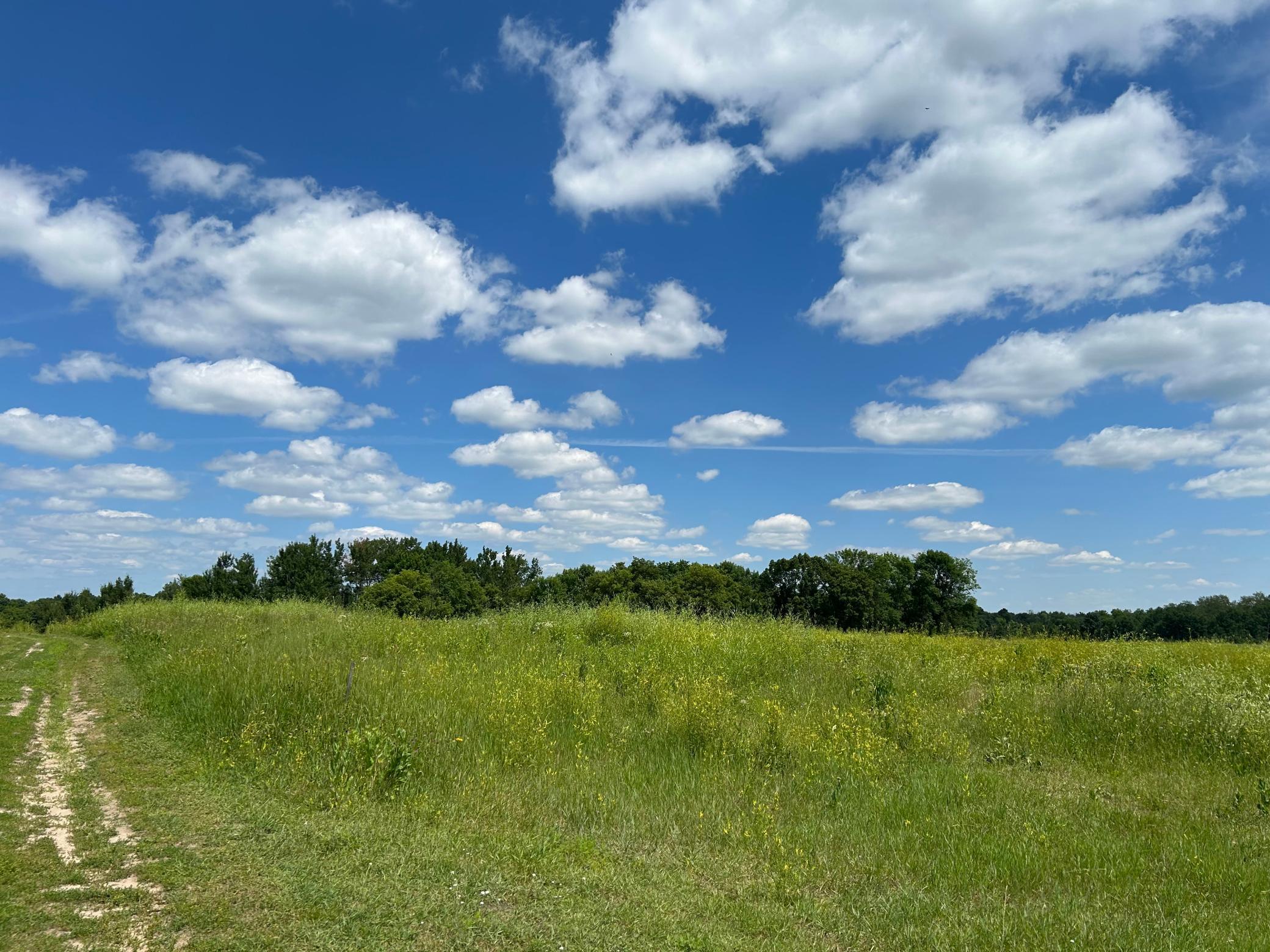 Land 7107648