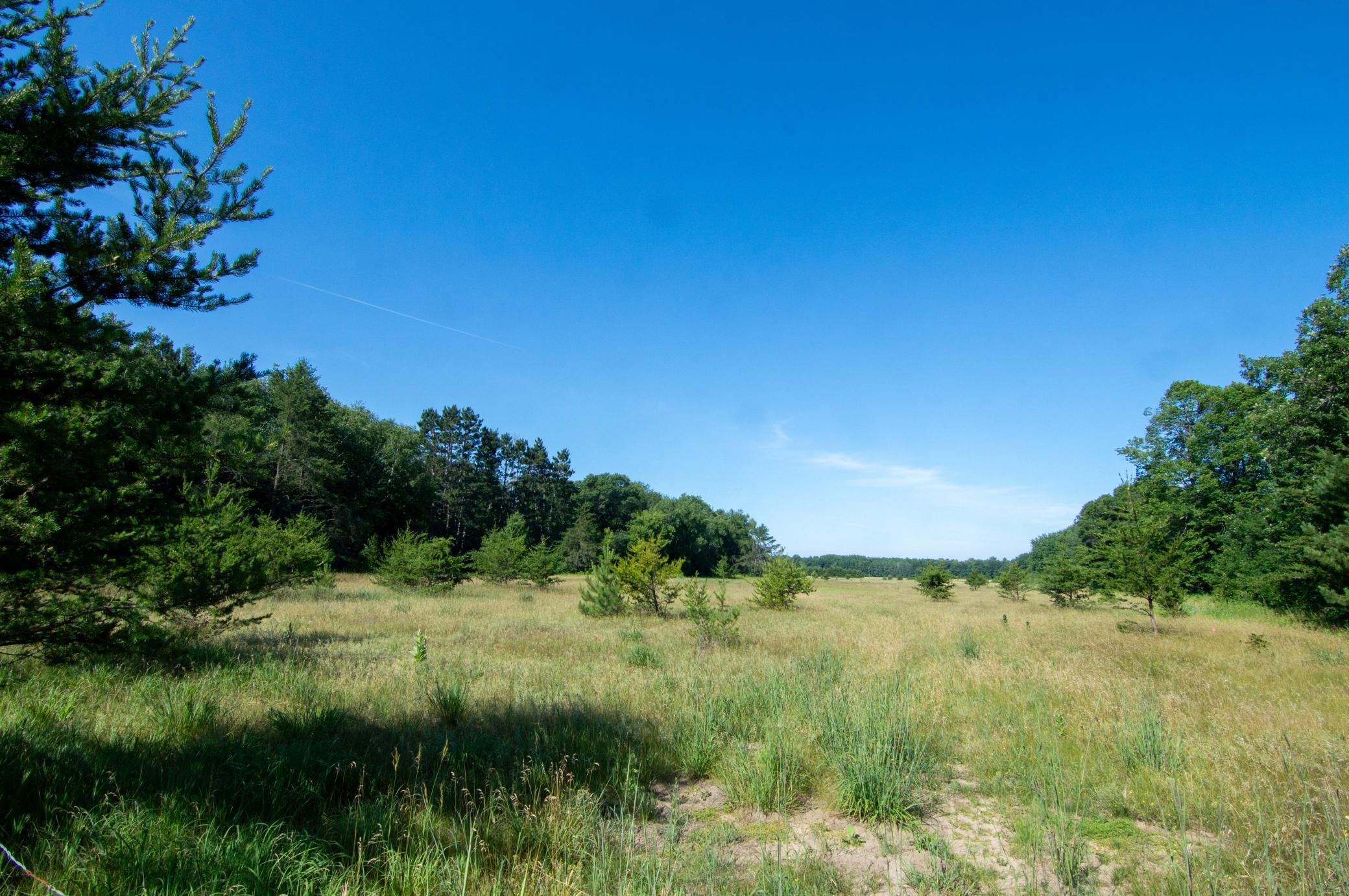 Land 7107884
