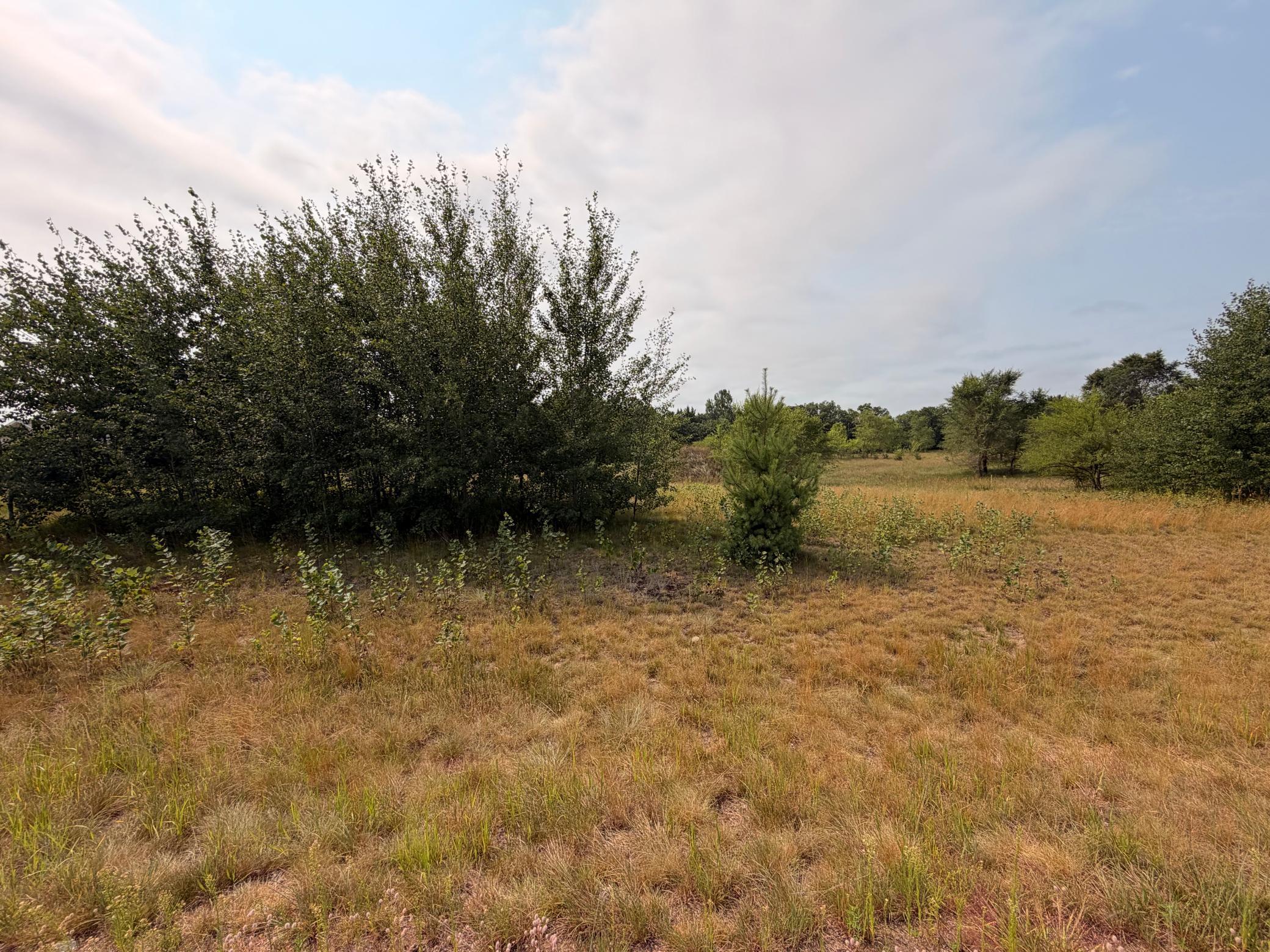 Land 7117332