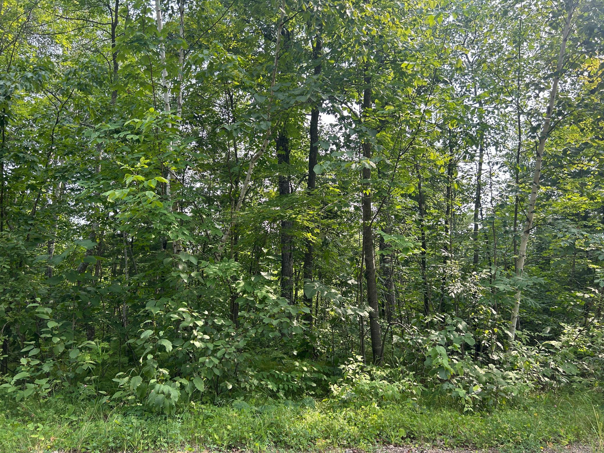 Land 7124883