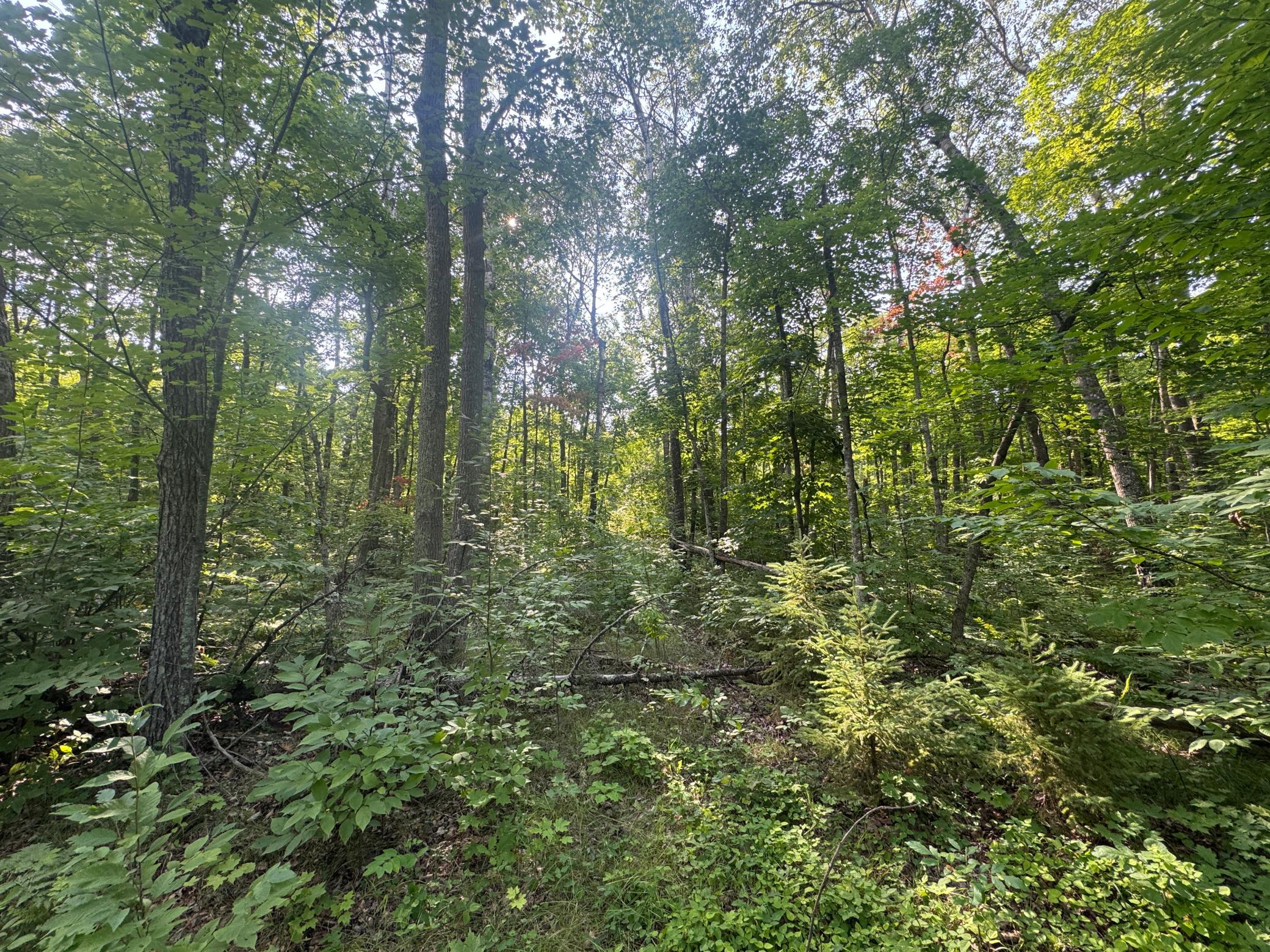 Land 7127035