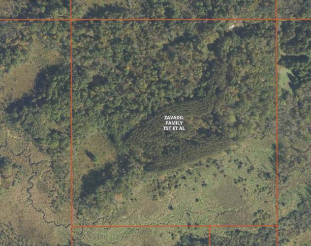 Land 7131373