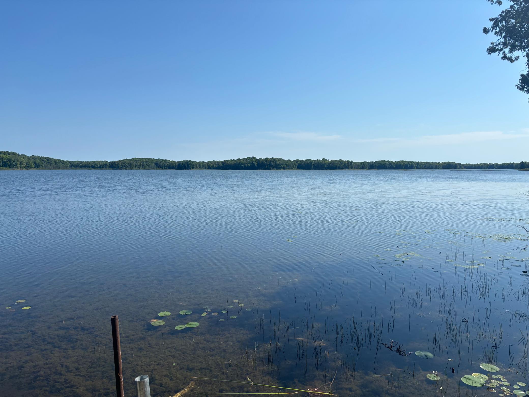 Lakehome 7133426