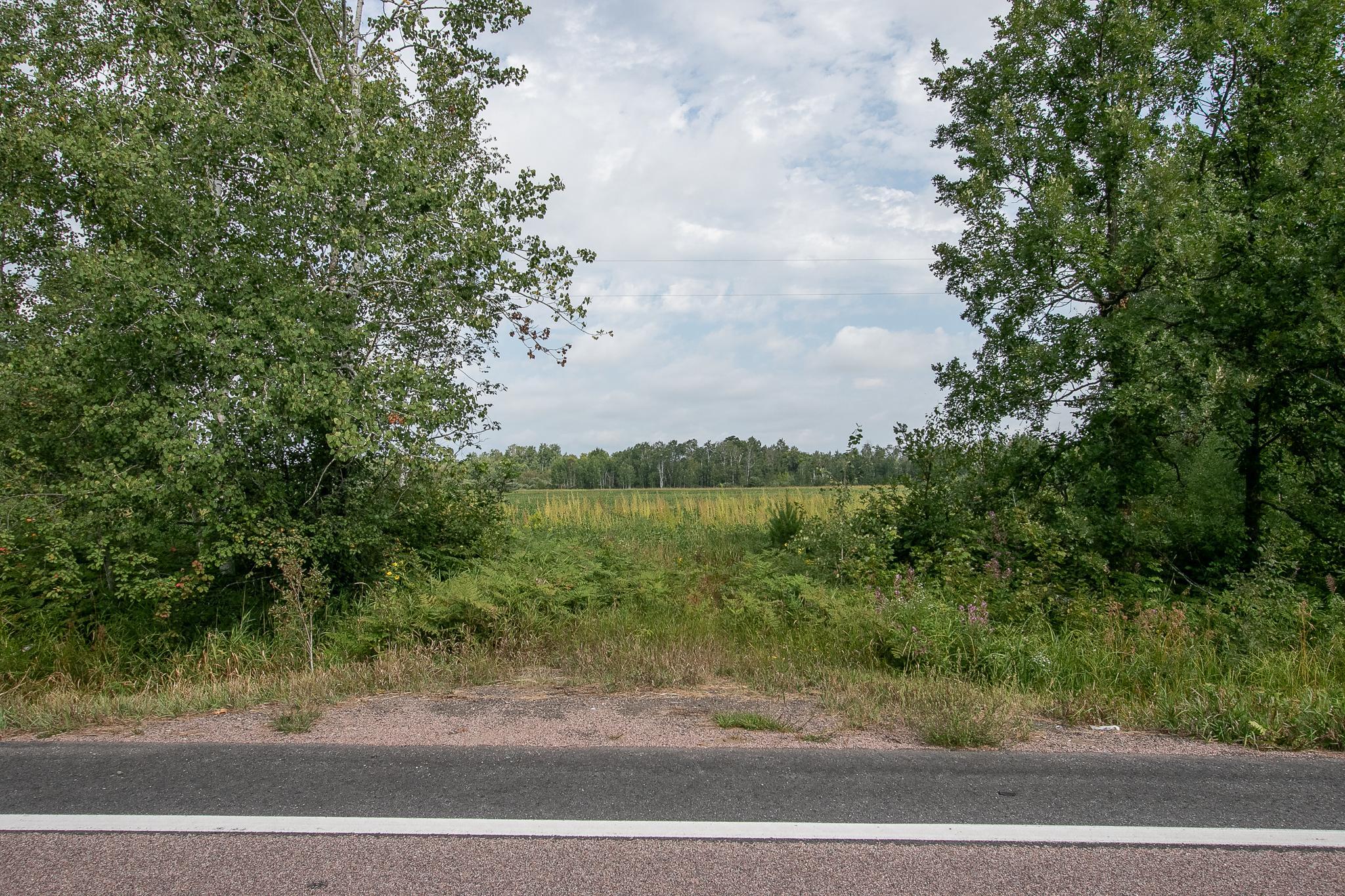 Land 7134696