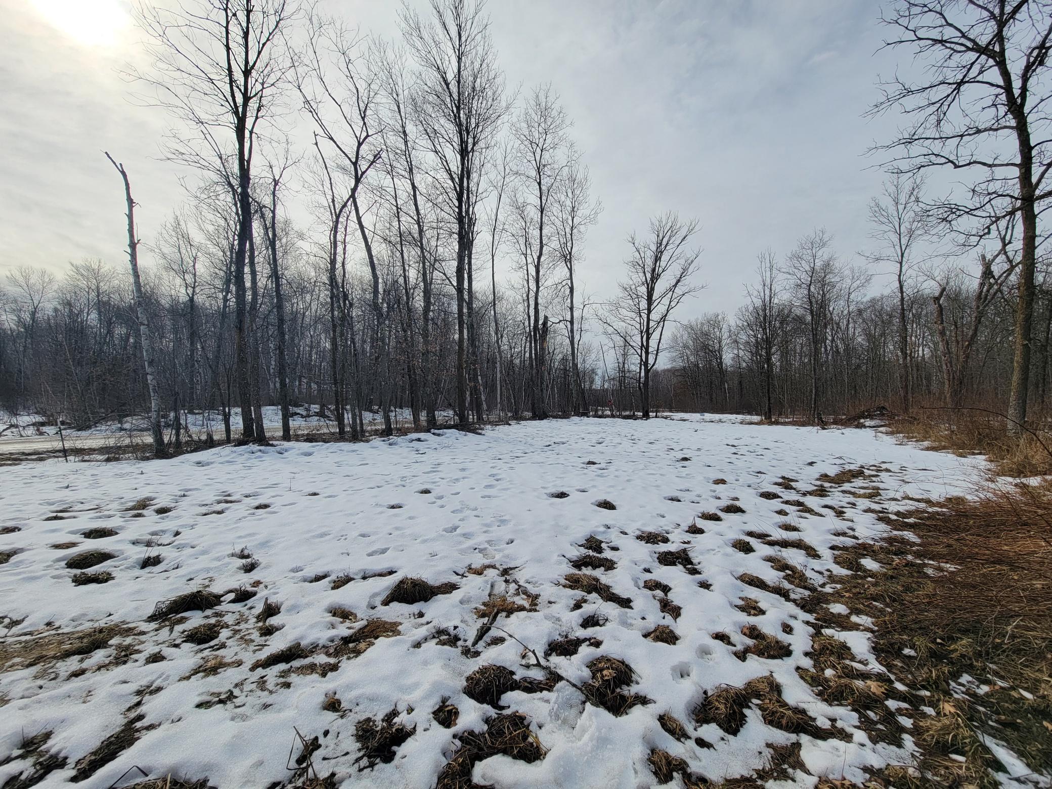 Land 7137069