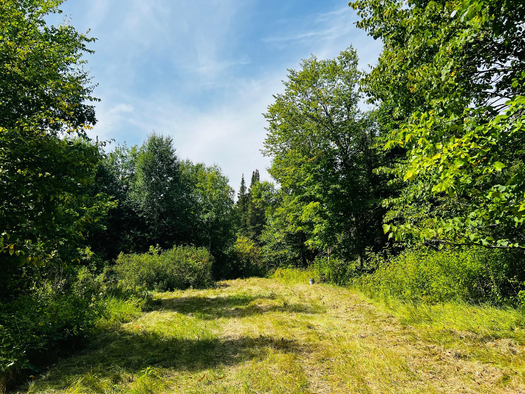 Land 7137447