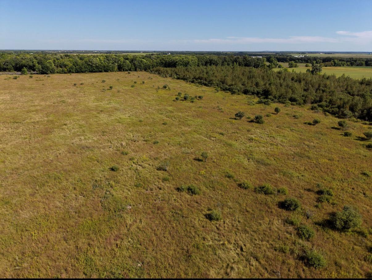 Land 7137818