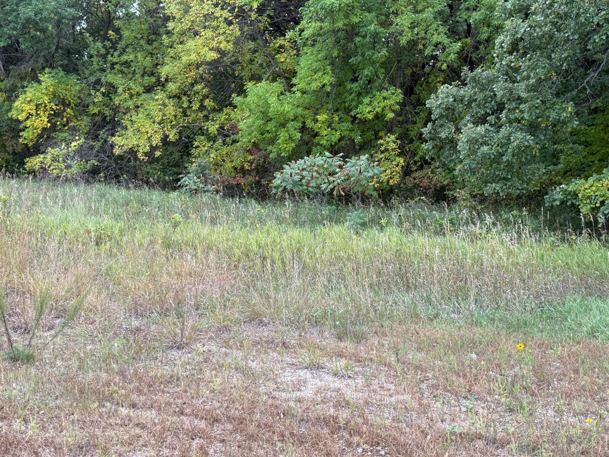 Land 7147233