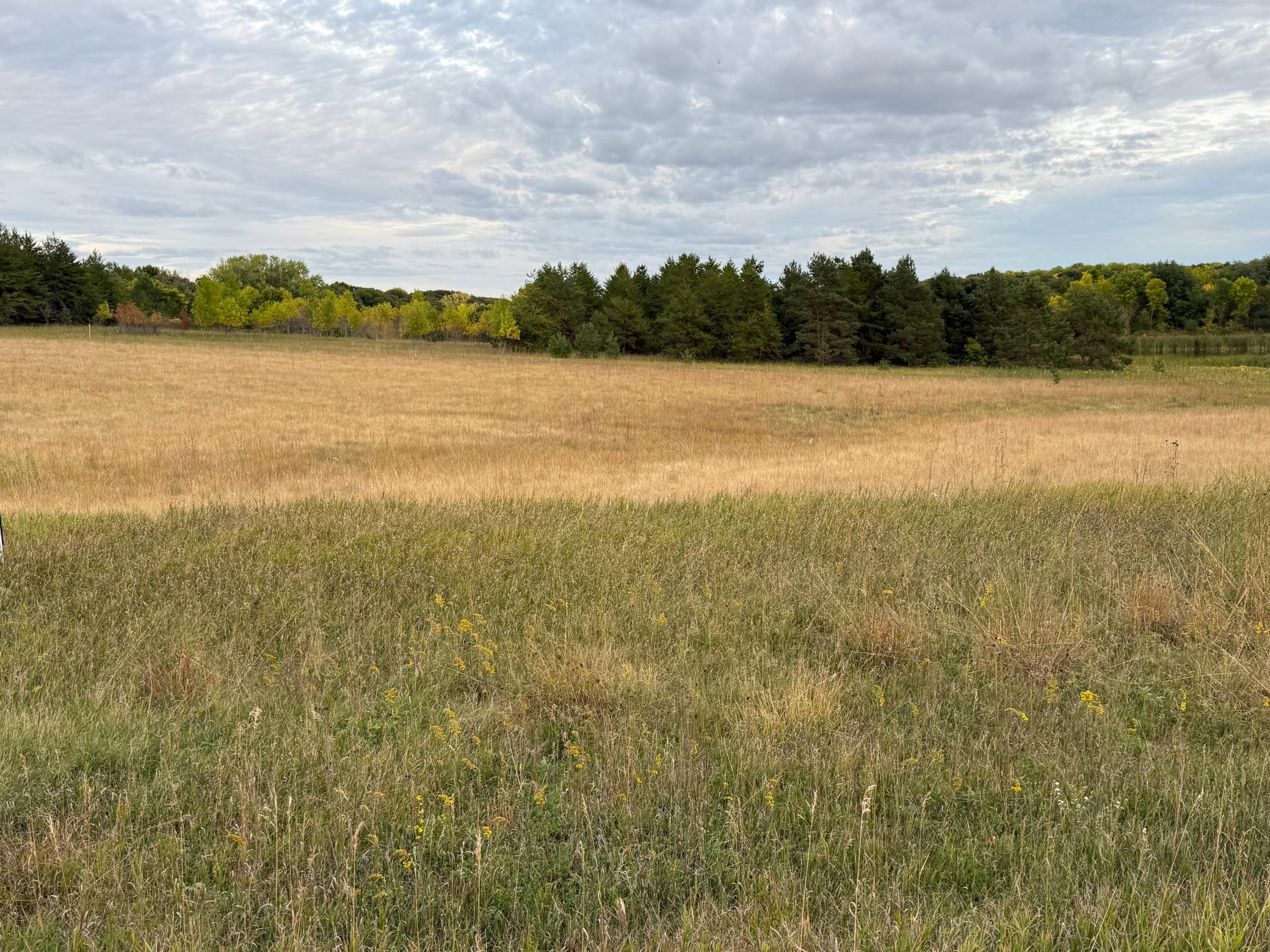 Land 7147277