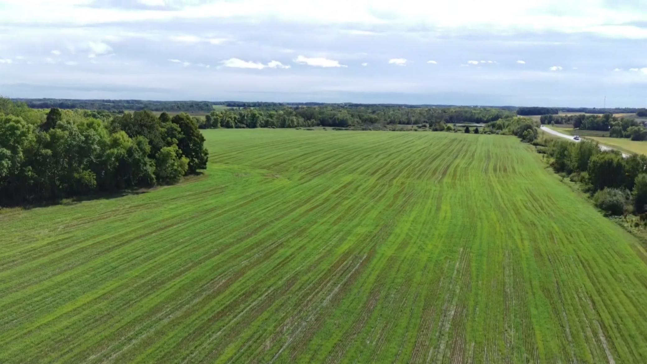 Land 7148342