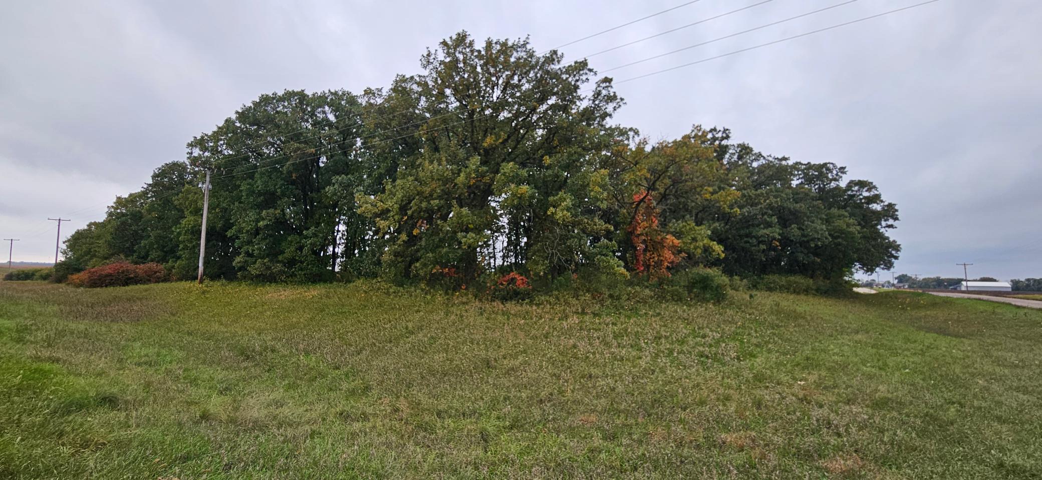 Land 7151947