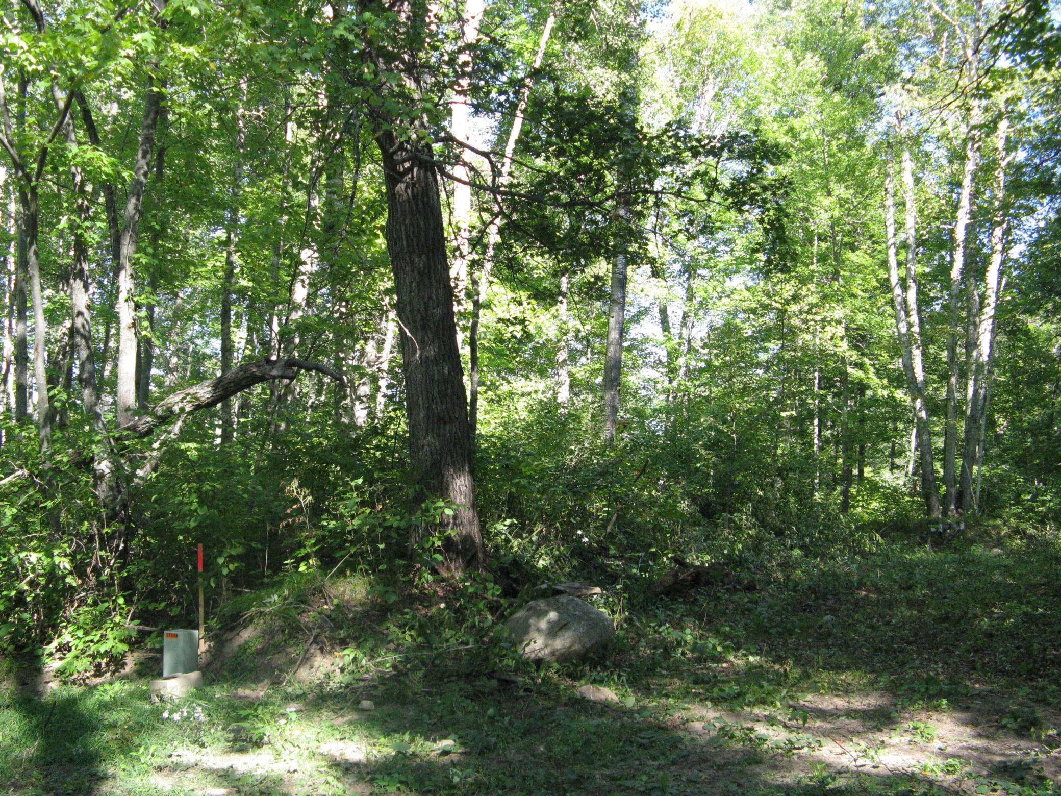 Land 7157084