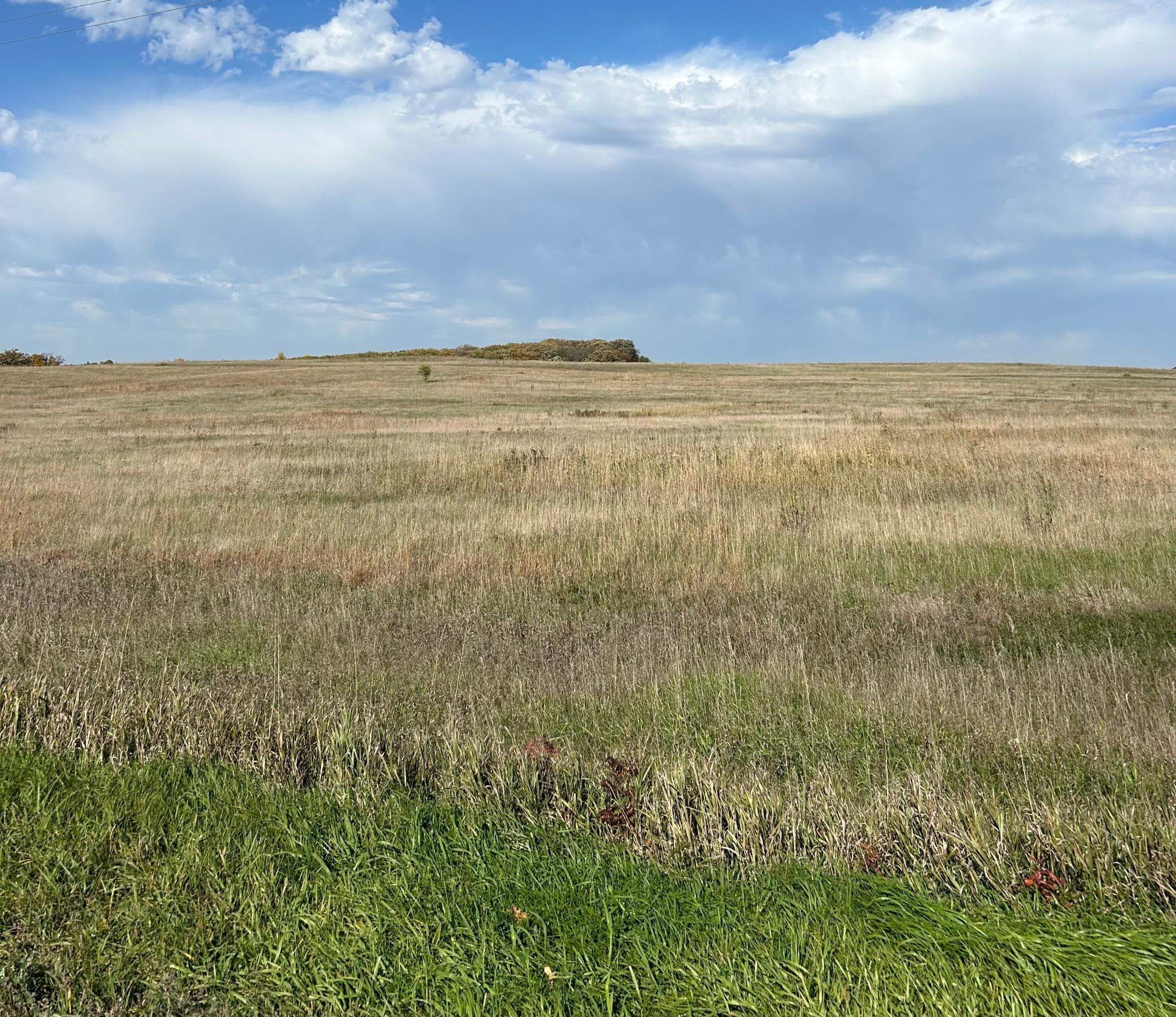 Land 7163380